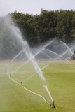 Watering the field