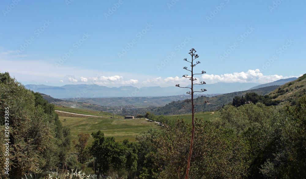 Obraz premium Paysage de Sicile, site du temple de Segeste