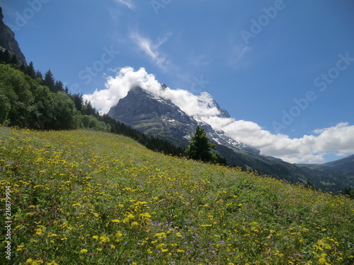 Wandern in den Schweizer Alpen