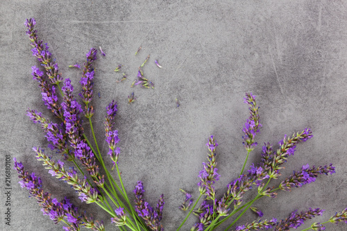 Fototapeta Naklejka Na Ścianę i Meble -  Fresh flowers of lavender bouquet on grey background top view.