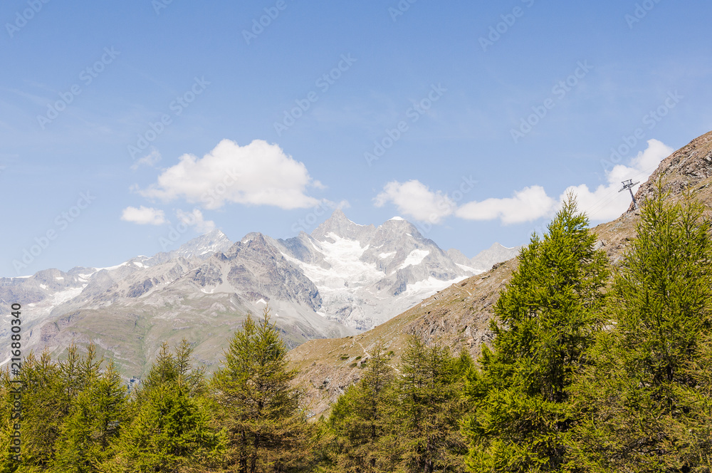 Zermatt, Alpen, Walliser Berge, Zinalrothorn, Ober Gabelhorn, Wellenkuppe, Gletscher, Wanderweg, Lärchenwald, Arve, Blauherd, Sunnegga, Wallis, Sommer, Schweiz