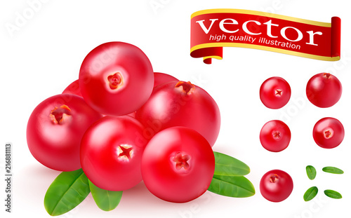 Realistic juicy ripe red berries of cranberries with green leaves on a white background. 3d realistic vector of high detail