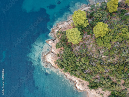 Aerial view of bright turqoise water and beach with pine forest. © agcreativelab
