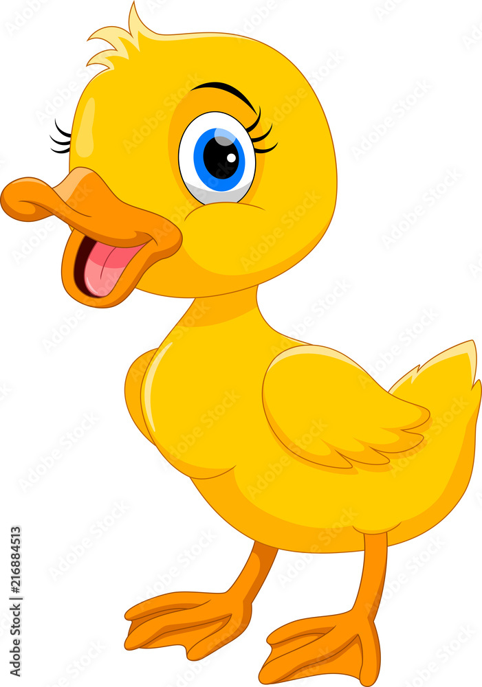 Cute duck cartoon 