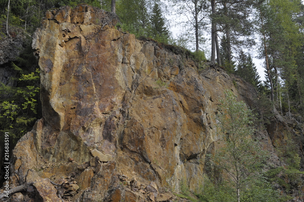 Texture, rock, stone, granite, mountains, moss, forest, trees Texture, rock, stone, granite, mountains, moss, forest, trees