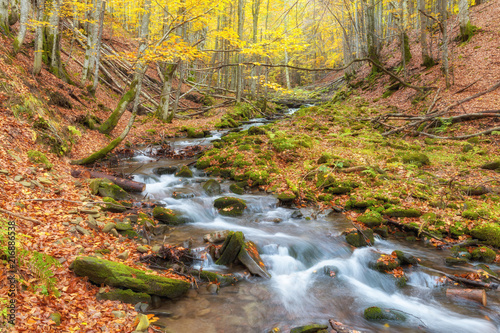 View of Little River in autumn  Great Smoky Mountains National Park  Tennessee