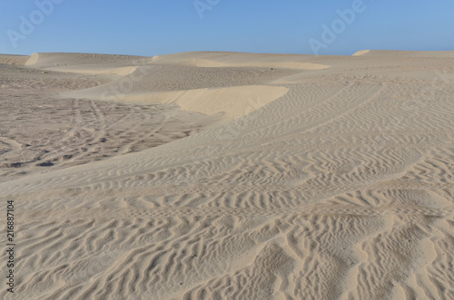 vast sand dunes on Pacific Ocean coast Oceano Dunes State Vehicular Recreation Area, San Luis Obispo county, California, USA