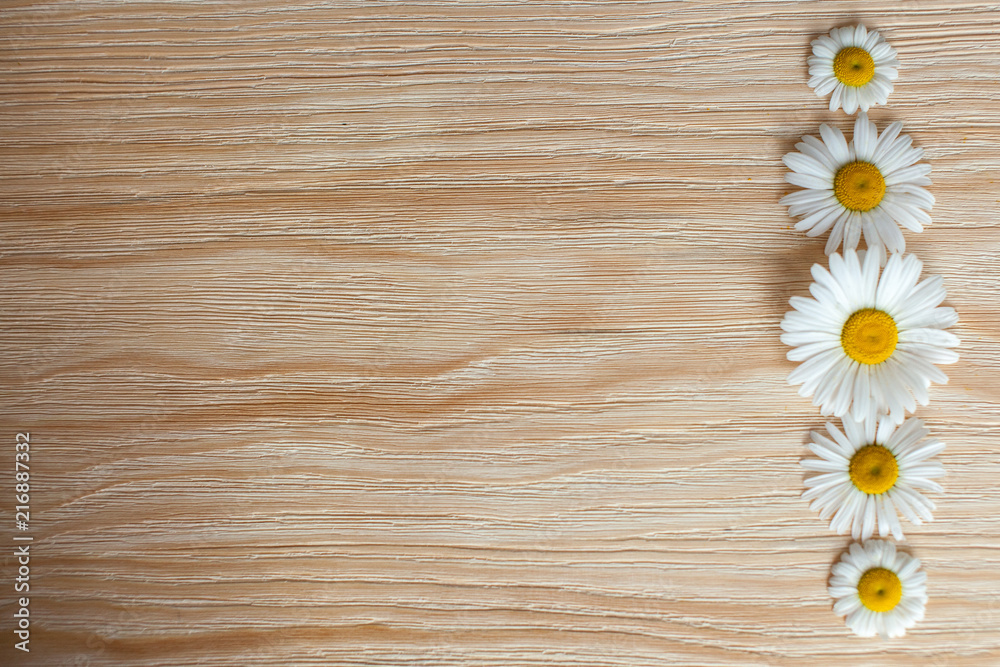 Obraz premium Fresh chamomile flowers on the wooden table