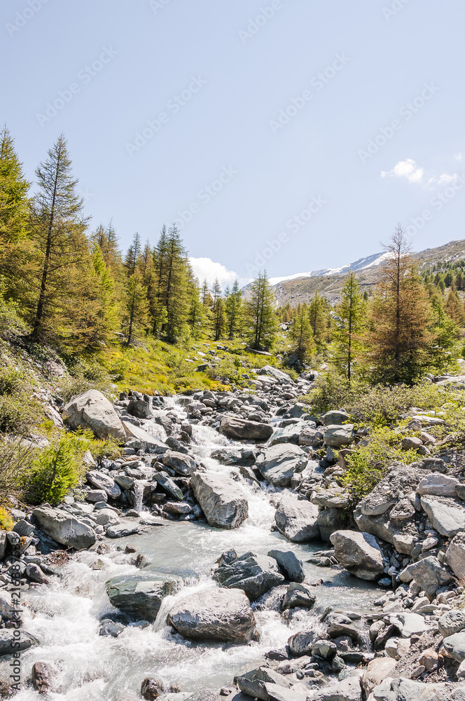 Obraz premium Zermatt, Alpen, Wallis, Walliser Berge, Grindjibach, Bergbach, Gletscherwasser, Wanderweg, Lärchen, Blauherd, Sunnegga, Findeln, Gletscher, Sommer, Schweiz