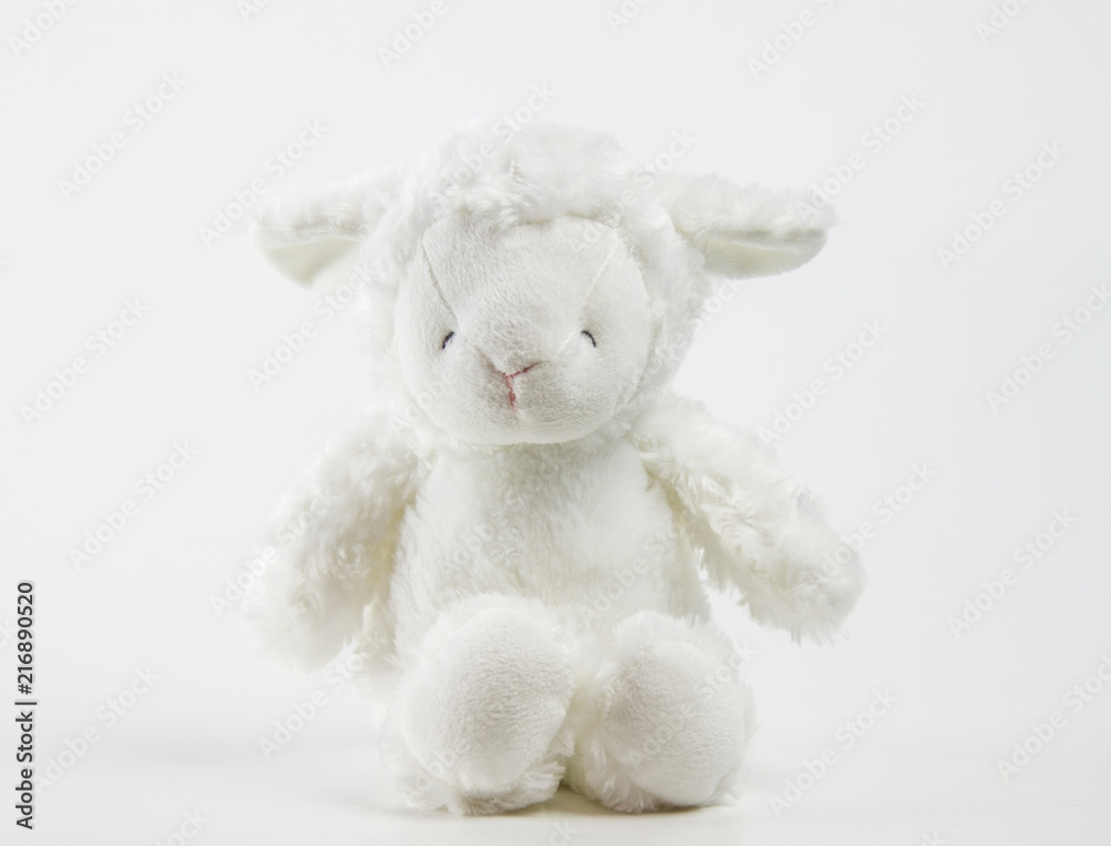 cute teddy lamb cute teddy lamb
