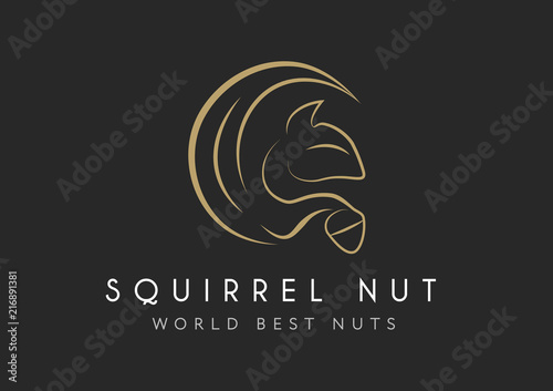 squirrel vector icon isolated on transparent background, squirrel logo concept