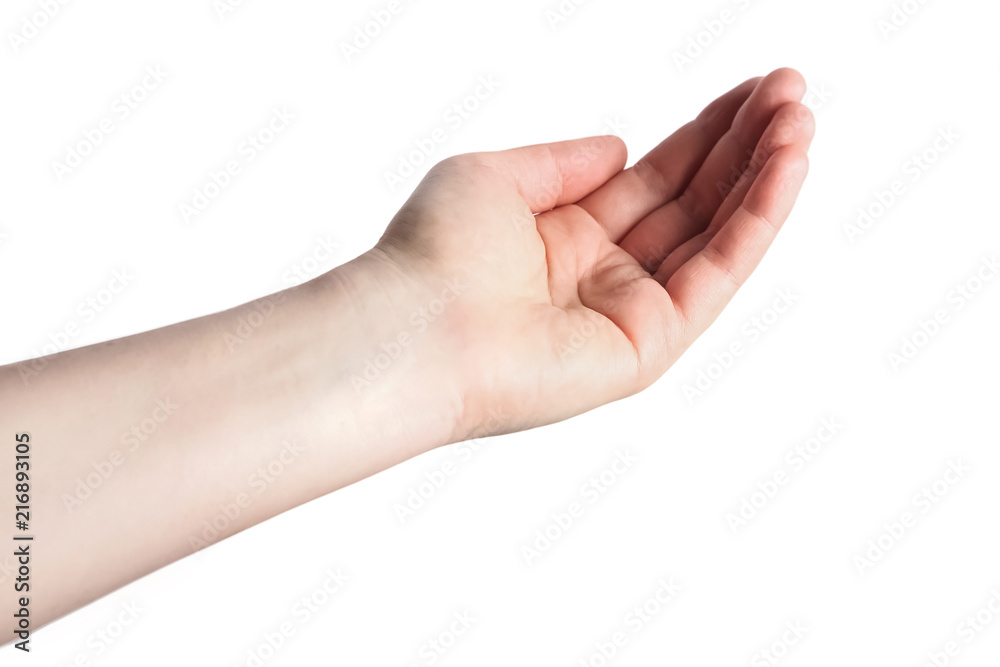 Opened a woman's hand, palm up isolated on white background Opened a woman's hand, palm up isolated on white background