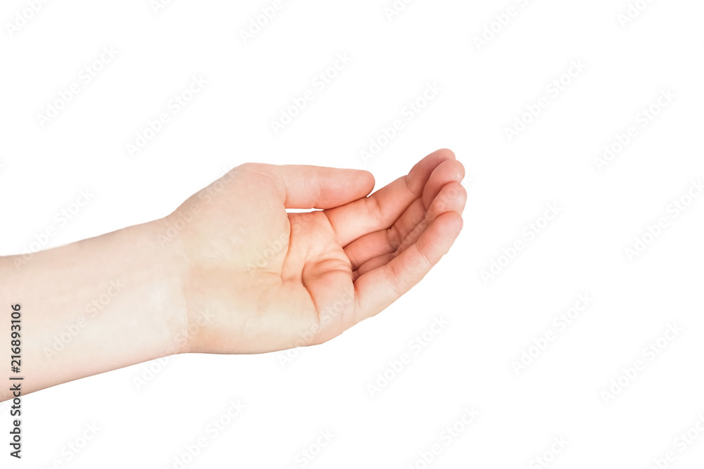 Opened a woman's hand, palm up isolated on white background Opened a woman's hand, palm up isolated on white background