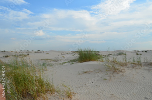 Monaghan's Sandhills State Park, Tx. Dunes with grass and without. 