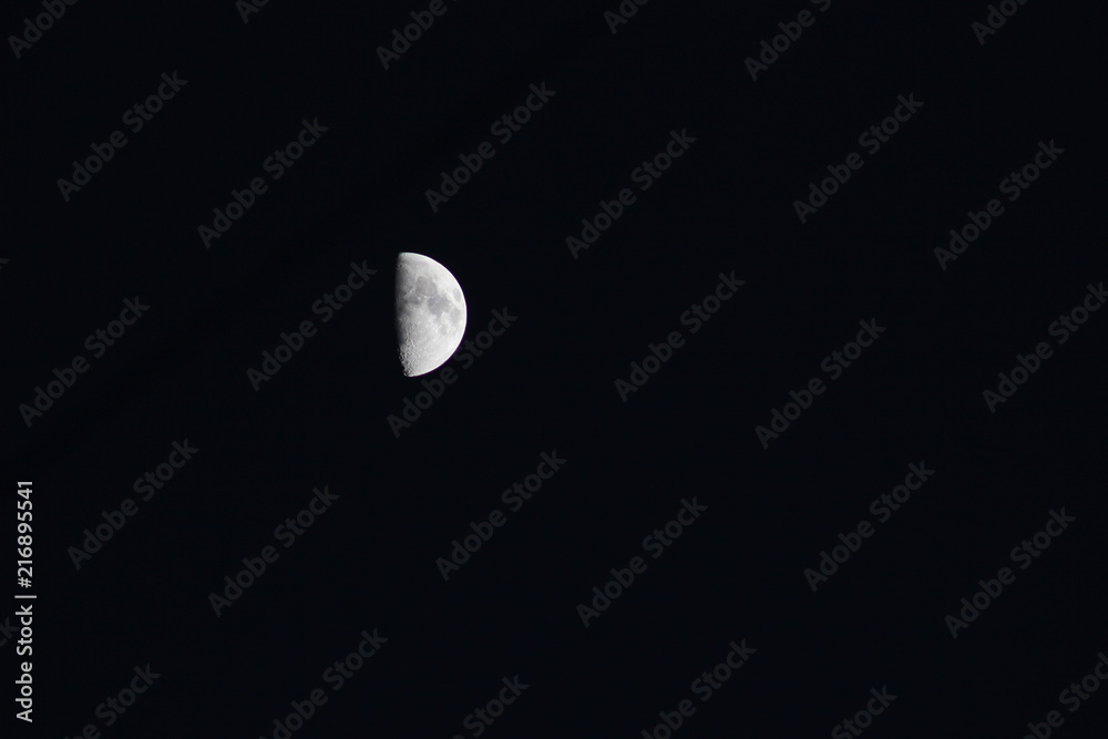 Fototapeta premium LUNA