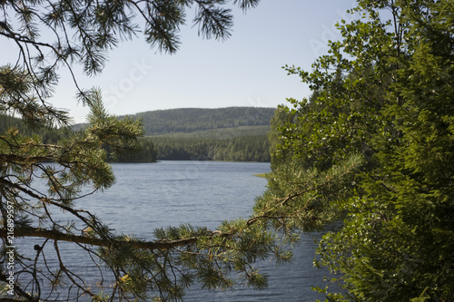 Landscape. Lake. Forest. Sky. The mountains