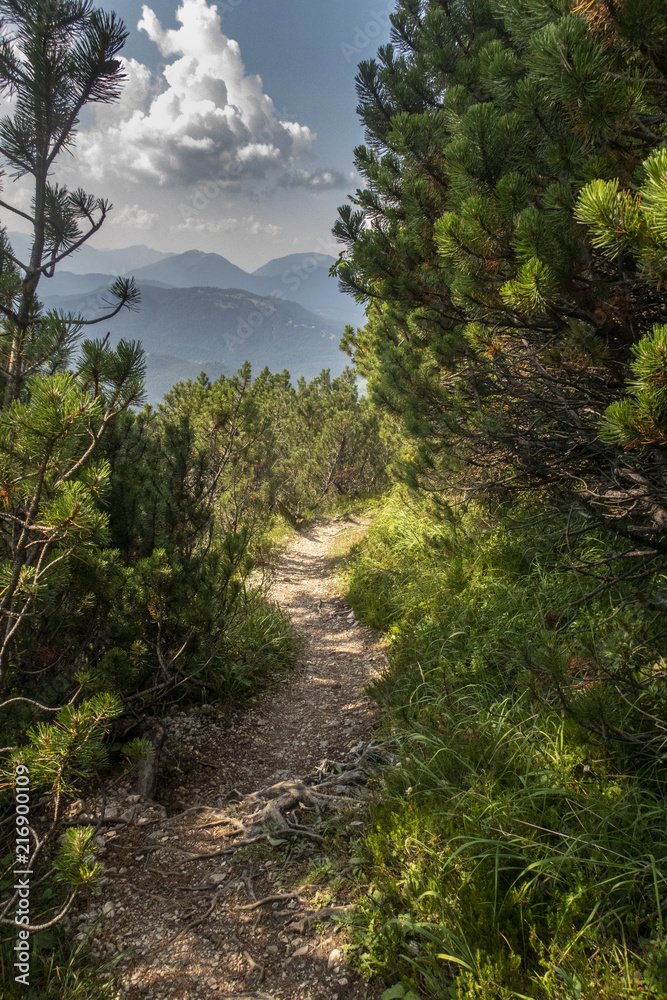 Fototapeta premium Weg auf dem Klettersteig Mittenwald