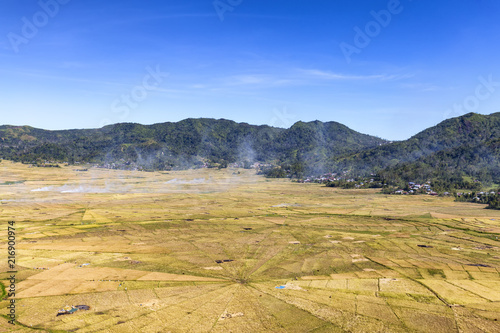 Slash and burn farming at the world famous Spider Rice Fields in Flores, Indonesia. photo