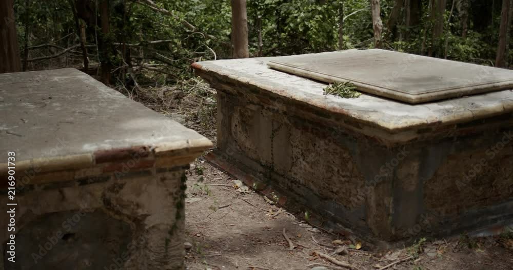 crypts or graves of early danish settlers 18th century at Cinnamon bay ruins, st john, virgin islands crypts or graves of early danish settlers 18th century at Cinnamon bay ruins, st john, virgin islands