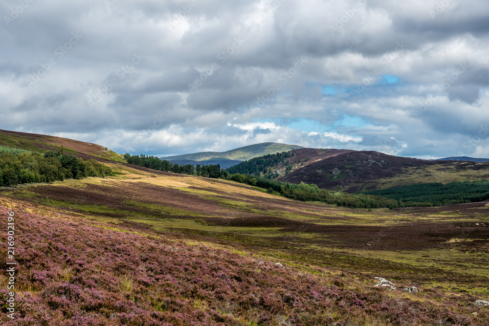 Glen Girnock Glen Girnock