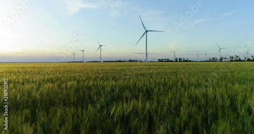 Group of windmills for electric power production in the green field of wheat photo