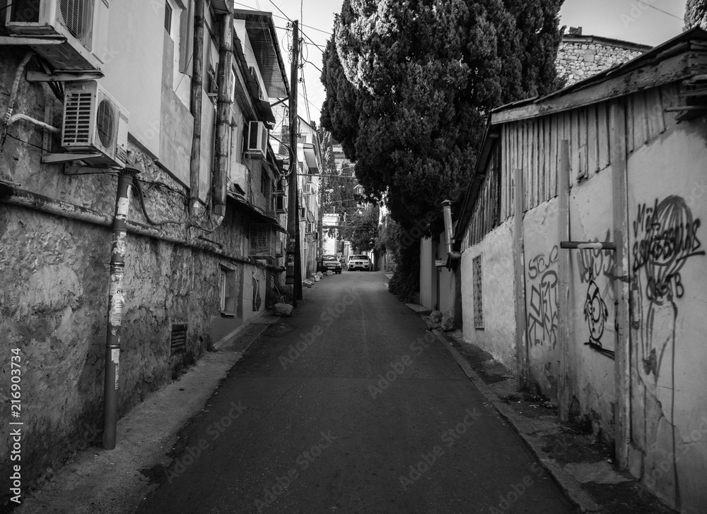 Obraz premium OLYMPUS DIGITAL CAMERA