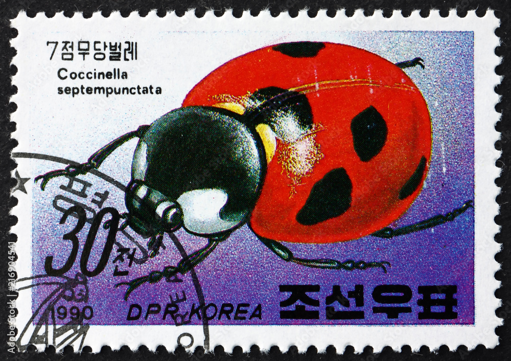 Obraz premium Postage stamp North Korea 1990 Lady Bug, Insect