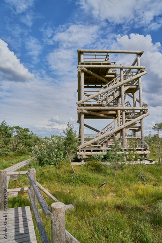 Raised bog. Viewing tower in Kemeri National park. Latvia. Summer.