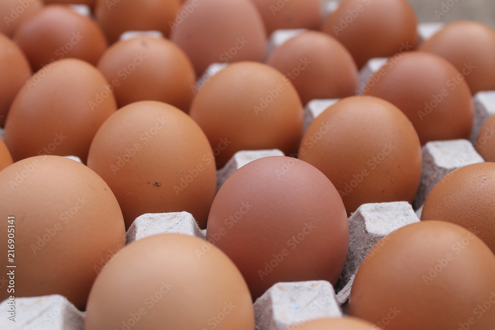 Close-up view of raw chicken eggs in egg box Close-up view of raw chicken eggs in egg box