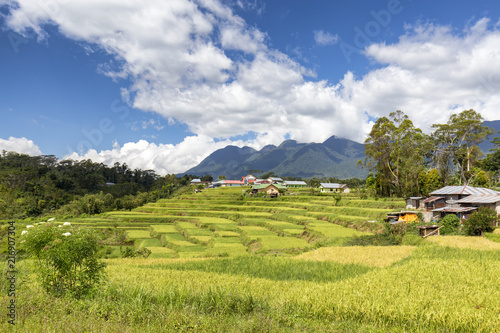 Terraced rice fields and Poco Mandasawu, Flores highest peak. photo