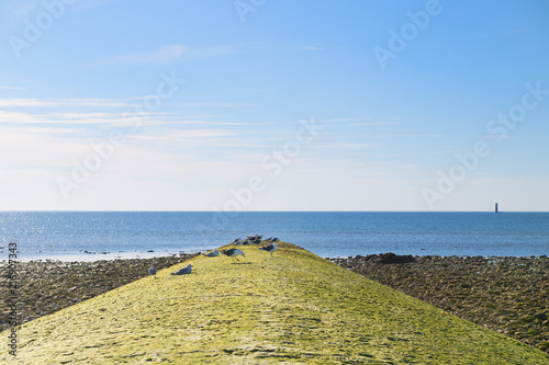 Ile de Ré - Landing stage at the north coast photo