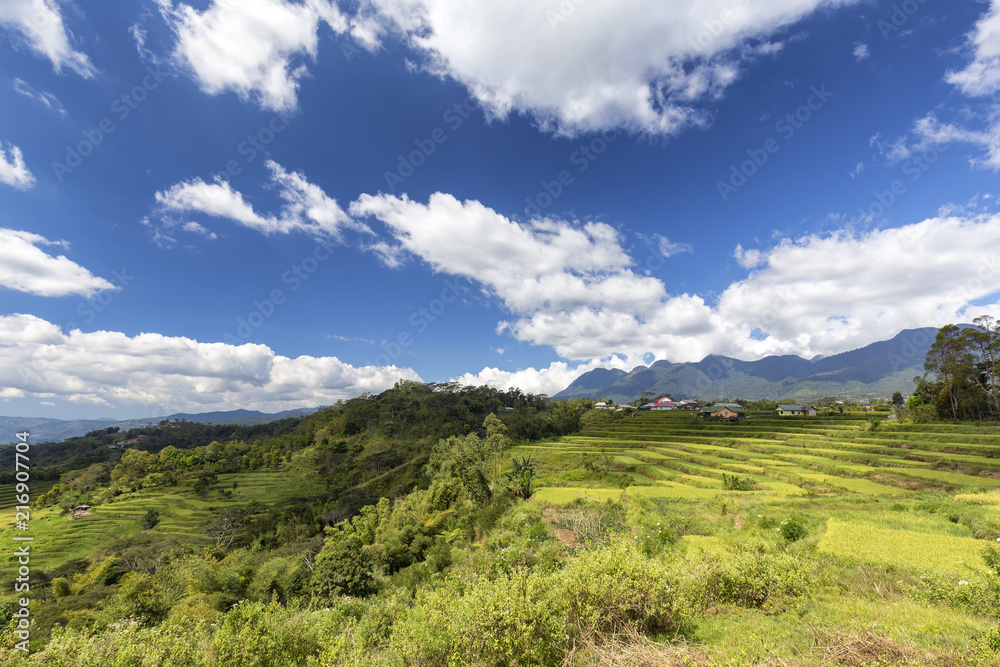 Beautiful blue sky punctuates the beauty of the Golo Cador rice terraces near Ruteng in Flores, Indonesia.