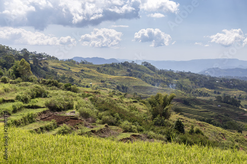 Landscape view of the Golo Cador Rice Terraces in Ruteng on Flores, Indonesia.