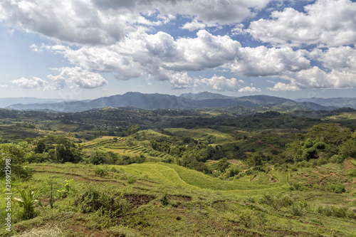 Massive valley of rice at the Golo Cador Rice Terraces in Ruteng on Flores, Indonesia.