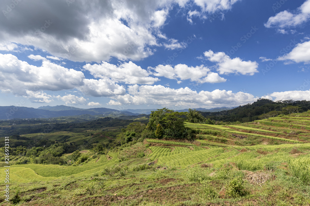 Tropical clouds over the Golo Cador Rice Terraces in Ruteng on Flores, Indonesia.