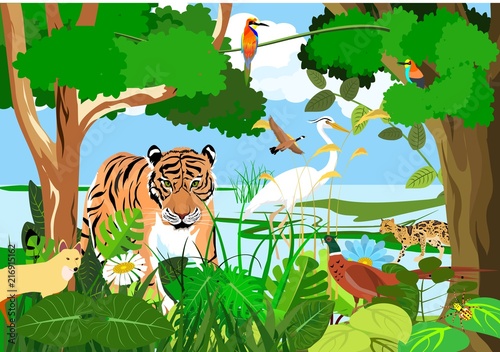 Syrdarya river fauna  tiger  pheasant  birds  forest  vector illustration