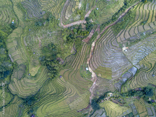 Bild auf Leinwand Aerial top down view of the Golo Cador Rice Terraces in Ruteng on Flores, Indonesia