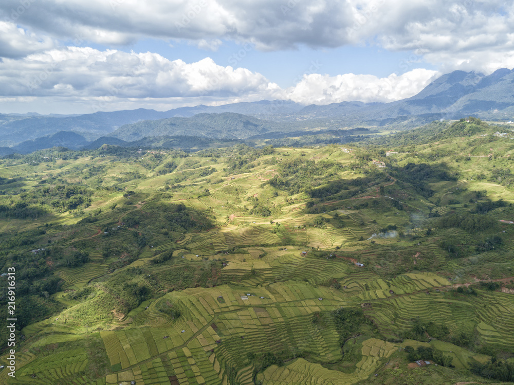 Aerial photograph of the Golo Cador Rice Terraces in Ruteng on Flores, Indonesia.
