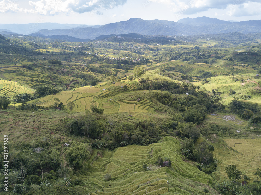 Aerial view of landscape at the Golo Cador Rice Terraces in Ruteng on Flores, Indonesia.
