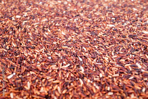 Raw Riceberry Rice, Selective Focus