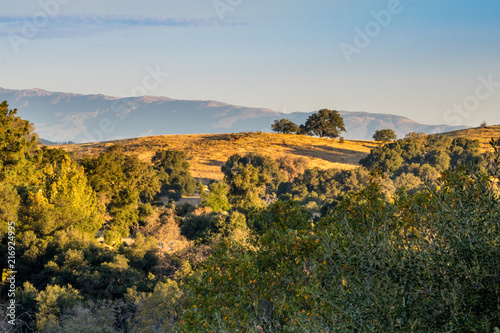 Принти на полотні Autumn, fall landscape, native plants in southern California