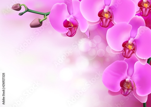 Pink purple orchids flowers closeup on purple gradient with bokeh background. Vector illustration of realistic violet orchids flowers in branch isolated.