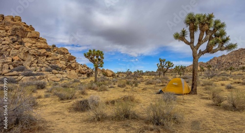 Boy Scout Trail Joshua Tree National Park