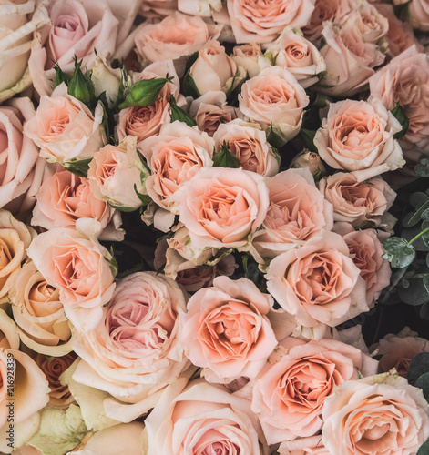 Pink roses © Laszlo