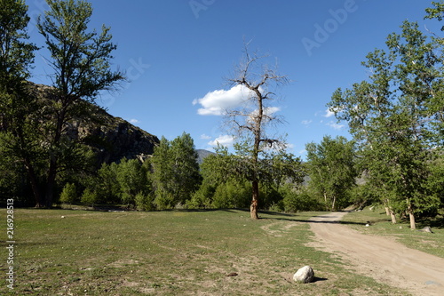 Mountain landscape in the area of the river Big Yaloman. Mountain Altai photo