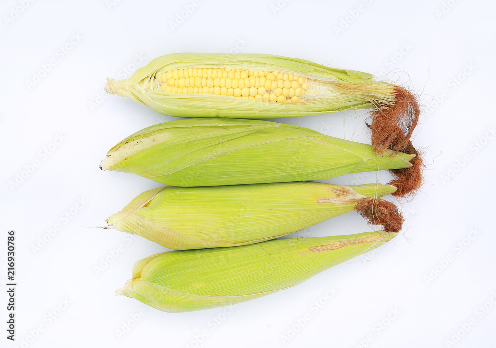Fresh corn in shell isolated on white background. Fresh corn in shell isolated on white background.
