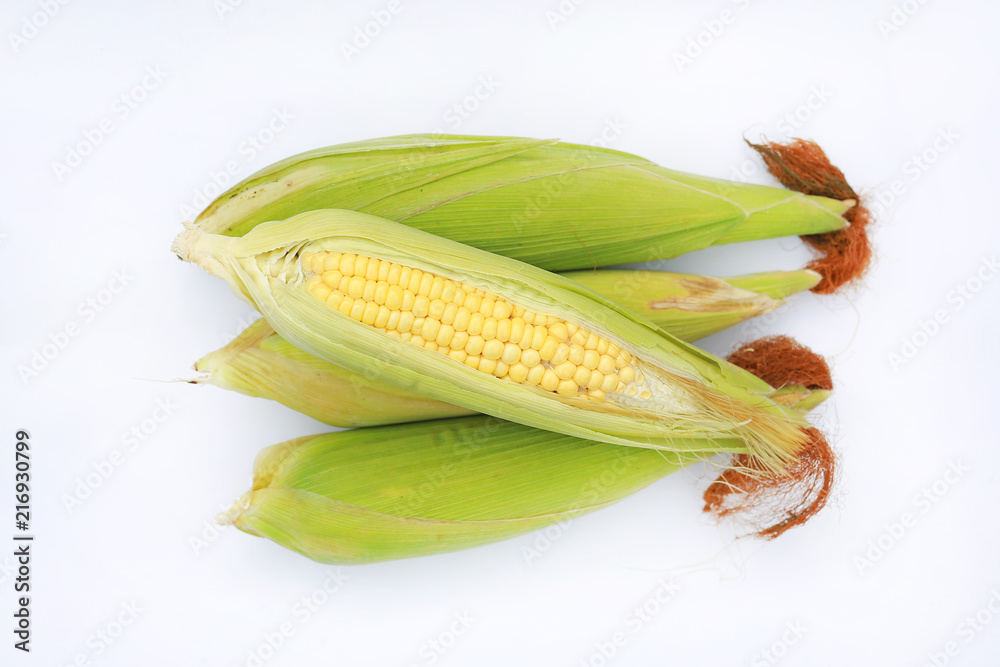 Fresh corn in shell isolated on white background.
