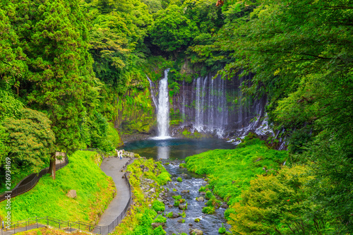 Shiraito waterfall in the southwestern foothills of Mount Fuji  Shizuoka  Japan