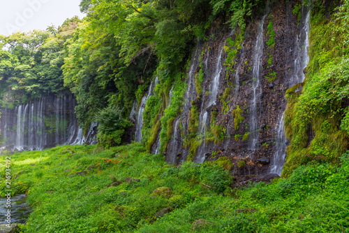 Shiraito waterfall in the southwestern foothills of Mount Fuji  Shizuoka  Japan