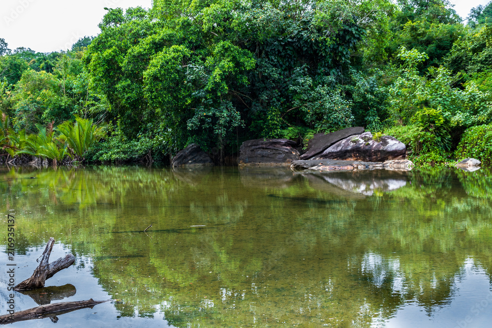 View across an inland tidal pool on the island of Koh Kood, Thailand; the lush foliage of the local tropical rain forest is in the background. View across an inland tidal pool on the island of Koh Kood, Thailand; the lush foliage of the local tropical rain forest is in the background.